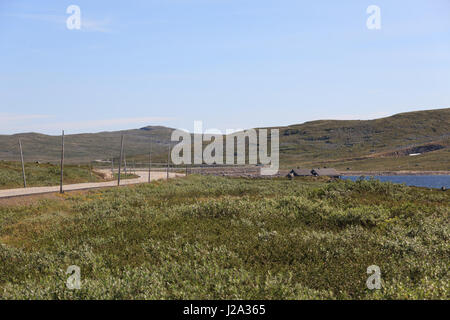 Une route de gravier dans le Parc National de Hardangervidda, la Norvège. Banque D'Images