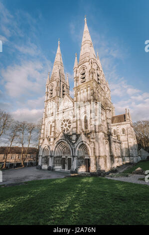 La cathédrale Saint Fin Barre, Co Cork, Ireland Banque D'Images