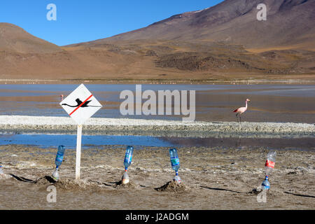 La Bolivie, Département de Potosí, Sur Lípez, Laguna Canapa Banque D'Images