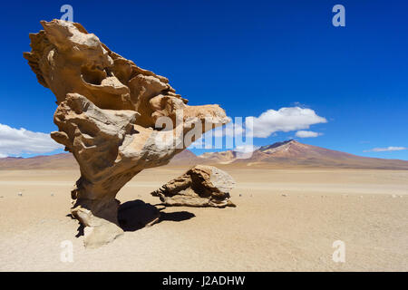 La Bolivie, Département de Potosí, Sur Lípez, Montana Colorada (5500 m de haut) Banque D'Images