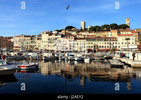 Cannes, Alpes Maritimes, 06, PACA, Côte d'Azur, France, Europe Banque D'Images