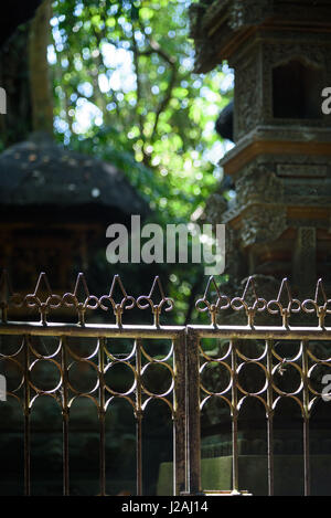 L'INDONÉSIE, Bali, Ubud, le Kabedaten 'Monkey' de la forêt d'Ubud. Le parc autour d'un temple hindou est habité par des free-roaming, sainte Javan monkeys Banque D'Images