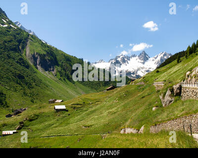 Sustenpass, Suisse : Paysages de la montagne et de la nature de la région de Susten Banque D'Images