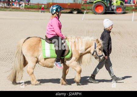 Brakne Hoby, Suède - 22 Avril 2017 : Documentaire des petits agriculteurs public 24. Jeune fille poney avec de jeunes handler en face de cheval. Les deux looki Banque D'Images