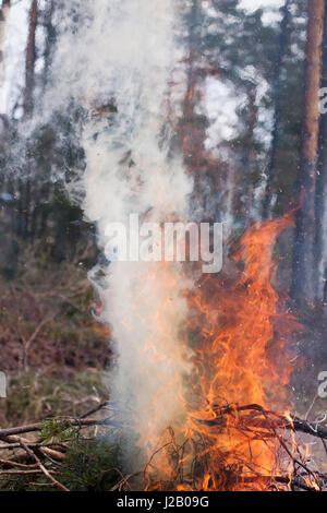 Émettant de la fumée des incendies en forêt Banque D'Images