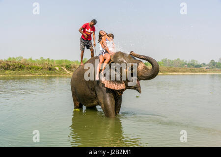 Un éléphant (Elephas maximus indicus) est aux projections d'eau sur deux femmes dans la rivière Rapti in chitwan national park Banque D'Images