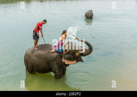 Un éléphant (Elephas maximus indicus) est aux projections d'eau sur une femme dans la rivière Rapti in chitwan national park Banque D'Images