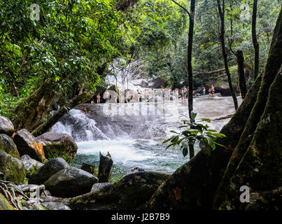 Josephine Falls est un lieu de baignade populaire avec de belles chutes d'eau dans le Parc National de Wooroonooran, près de Cairns, Far North Queensland, Queensland, Australie Banque D'Images