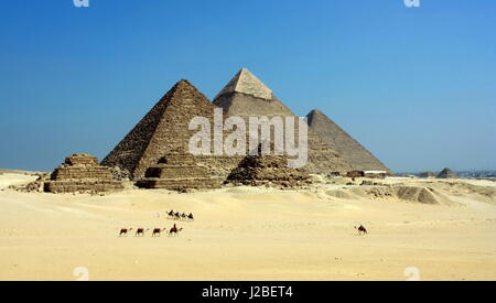 Une vue déserte un groupe de chameaux devant les pyramides de Gizeh au Caire, Égypte, du plateau au sud du complexe. Banque D'Images