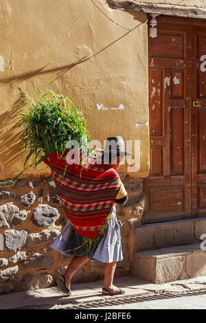 Femme péruvienne cholita habillé de tissu coloré traditionnel, portant la récolte fraîche de coca et de marcher jusqu'à la rue avec des murs de pierre, Sac Inkan Banque D'Images