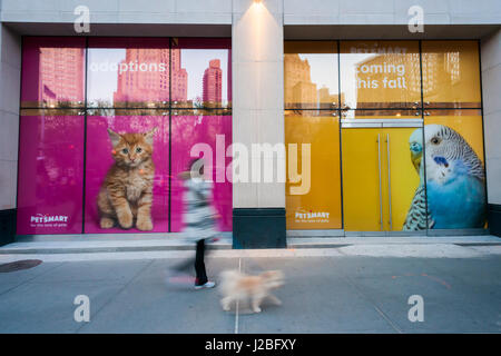 La future maison d'une animalerie Petsmart dans le quartier Flatiron de New York le mardi, Avril 18, 2017. Petsmart a accepté d'acquérir l'e-commerce détaillant Chewy.com pour un montant non communiqué. L'acquisition augmente la brique-et-mortier Petsmart's présence en ligne. (© Richard B. Levine) Banque D'Images