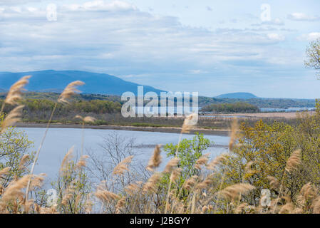 Vue sur montagnes Catskill et Hudson River près de rhinebeck, New York. soft focus roseaux en premier plan avec un ciel dramatique et voilier sur la rivière. Banque D'Images