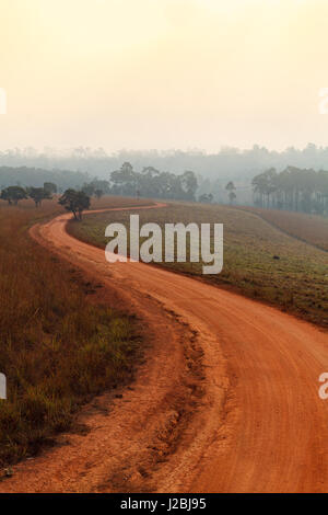 Route de terre qui traverse la forêt au début du printemps sur un matin brumeux à Thung Luang Parc National de Salang,Thaïlande Phetchabun ; Banque D'Images