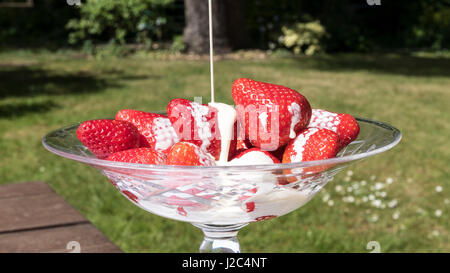 Bol de fraises savoureuses dans un jardin d'été ! Banque D'Images