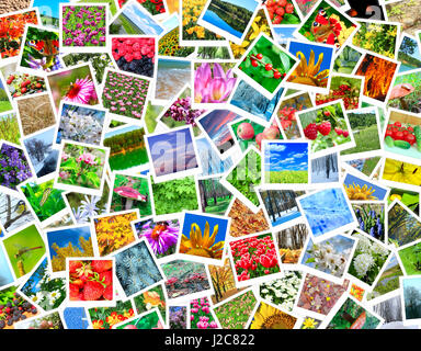 Un grand nombre de belles photos de la nature Banque D'Images