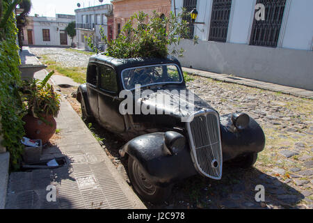 Vieille voiture, utilisé comme pot de fleurs, debout dans les rues de Colonia, Uruguay. Banque D'Images