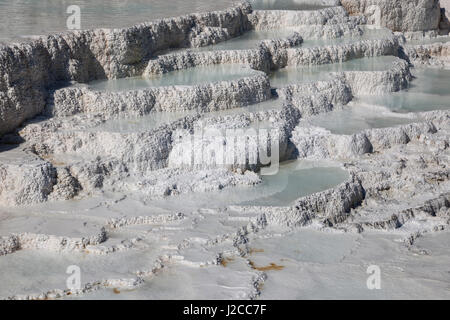 Terrasses en travertin, des sources chaudes, des gisements minéraux, Palette Printemps, terrasses inférieures, Mammoth Hot Springs Banque D'Images