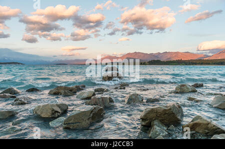 Le coucher du soleil, rives du Lac Tekapo, région de Canterbury, Southland, Nouvelle-Zélande Banque D'Images