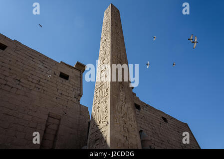 Louxor Egypte, Gouvernement, Luxor, Luxor Temple, Site du patrimoine mondial de l'UNESCO Banque D'Images