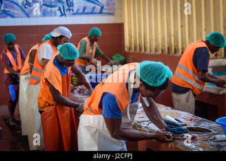 Cap Vert, São Vicente, Mindelo, le marché aux poissons de Mindelo Banque D'Images