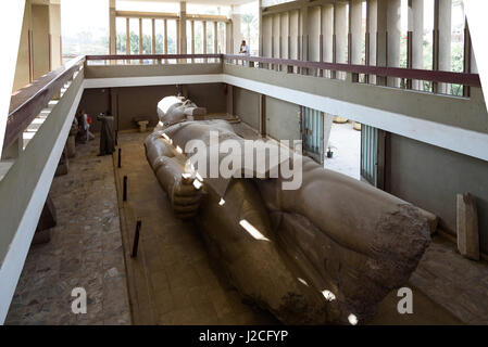 Egypte, Caire, gouvernorat, Memphis, statue colossale de Ramsès II Banque D'Images