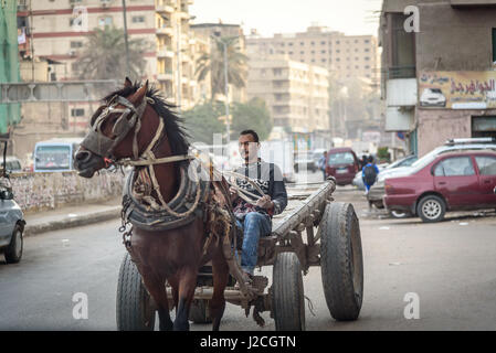 Egypte, Caire, gouvernorat du Caire, transporteur de déchets Banque D'Images