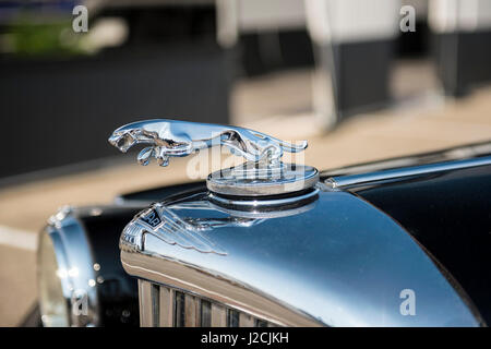 Mascotte de capot de chat bondissant sur Classic Jaguar Banque D'Images