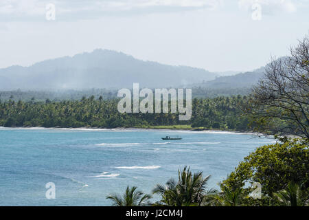 L'Indonésie, Maluku Utara, Kabupaten Halmahera Utara, palmeraie au bord de la mer sur le nord de l'Molikken Banque D'Images