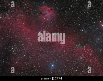 La nébuleuse de la mouette (IC 2177) est une région de nébulosités qui