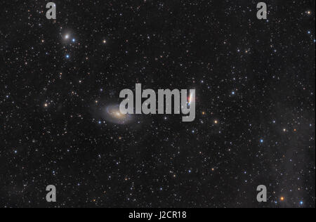 Messier 81, la galaxie de Bode (NGC 3031) et Messier 82 (la galaxie, NGC 3034 cigares) dans la constellation de la Grande Ourse Banque D'Images