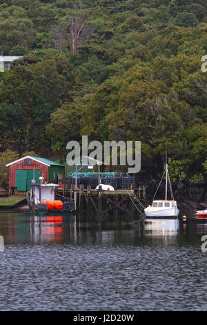 Port de Voe Vaila Bay, l'île Stewart, en Nouvelle-Zélande. Banque D'Images