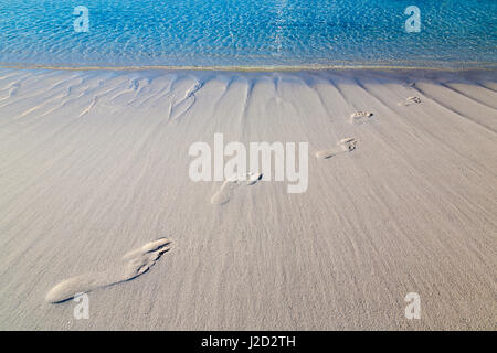 Les Bahamas, l'île d'Exuma Cays, Terre et Mer Park. L'empreinte de sable. En tant que crédit : Don Paulson / Jaynes Gallery / DanitaDelimont.com Banque D'Images