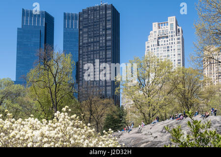 Tours le long de Central Park West derrière Rock Rat,C entrale Park au printemps, New York City, USA Banque D'Images