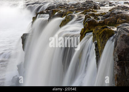 Selfoss waterfall sur le fleuve Jökulsá á Fjöllum dans dans le canyon Jökulsárgljúfur en hiver, région du nord de l'Islande Banque D'Images