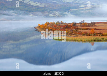 Brume du matin sur le lac Avsjoen / Avsjøen en automne près de Dovrefjell, Oppland, Norvège, Scandinavie Banque D'Images