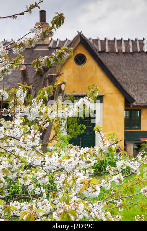 Le Danemark, la Nouvelle-Zélande, Tisvildeleje beach villa, printemps, Banque D'Images