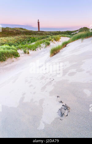 Dunes sur l'île de Goeree dans le delta néerlandais au coucher du soleil Banque D'Images