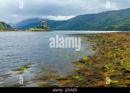 Le château du 13ème siècle le château d'Eilean Donan est situé dans la région de Loch Duich. Une arche de pierre pont relie l'île au continent Banque D'Images