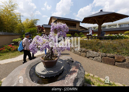 Saitama, Japon. 28 avril, 2017. Les visiteurs se réunissent à l'Omiya Bonsai Art Museum à Tokyo le 28 avril 2017 au Japon. La 8e Convention Bonsai fonctionne pendant trois jours jusqu'au 30 avril au Saitama Super Arena et dans d'autres endroits de la ville. Ville de Saitama est la maison de village Bonsai Omiya un domaine où de nombreux producteurs Bonsai déplacé de Tokyo pour s'installer après le grand tremblement de terre de Kanto en 1923. La 1ère Convention Bonsai a également eu lieu à Tokyo en 1989 et l'événement de cette année devrait attirer les visiteurs internationaux de tous les continents. Credit : Rodrigo Reyes Marin/AFLO/Alamy Live News Banque D'Images