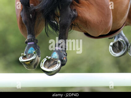 Lummen, Belgique. 28 avr, 2017. fei nations cup, printemps 2017 longines classique lummen csio5, dermott lennon d'irlande crédit : leo cavallo/Alamy live news Banque D'Images