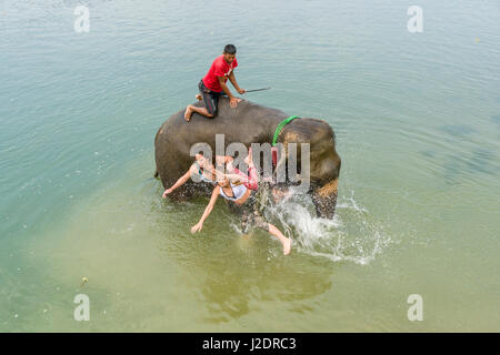 Un éléphant (Elephas maximus indicus) jette deux femmes dans la rivière Rapti in chitwan national park Banque D'Images