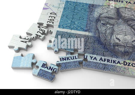 South African rand puzzle Banque D'Images