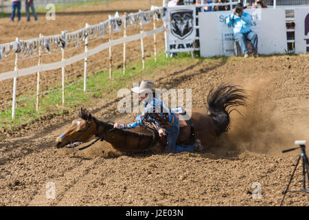 Vieille ville mineurs Californie Shasta Banque D'Images