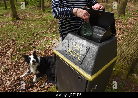 Propriétaire de chien ramasser et déposer les chiens poo Banque D'Images