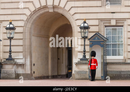 Soldat britannique en service de sentinelle à l'extérieur de Buckingham Palace Banque D'Images