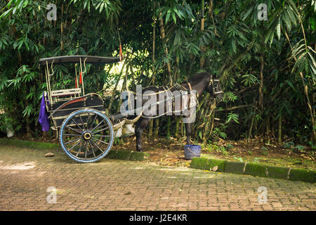 Dokar ou en calèche park près de la gorge de bambou photo prise à Jakarta Indonésie Banque D'Images
