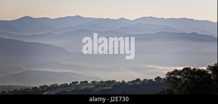 Misty montagnes Troodos, Paphos, Chypre. Banque D'Images
