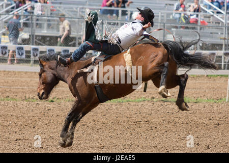 2017 Roundup rodeo Red Bluff Banque D'Images