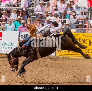 2017 Roundup rodeo Red Bluff Banque D'Images