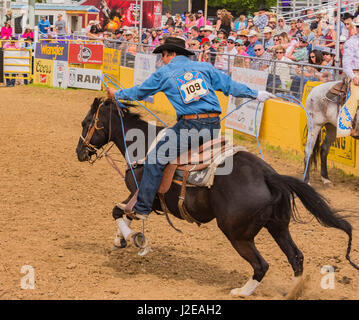 2017 Roundup rodeo Red Bluff Banque D'Images